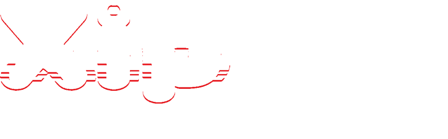 Xip Construction